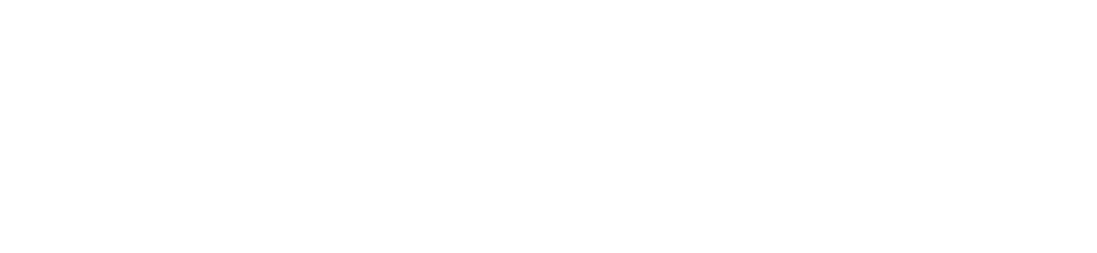 WordPress-logo-white