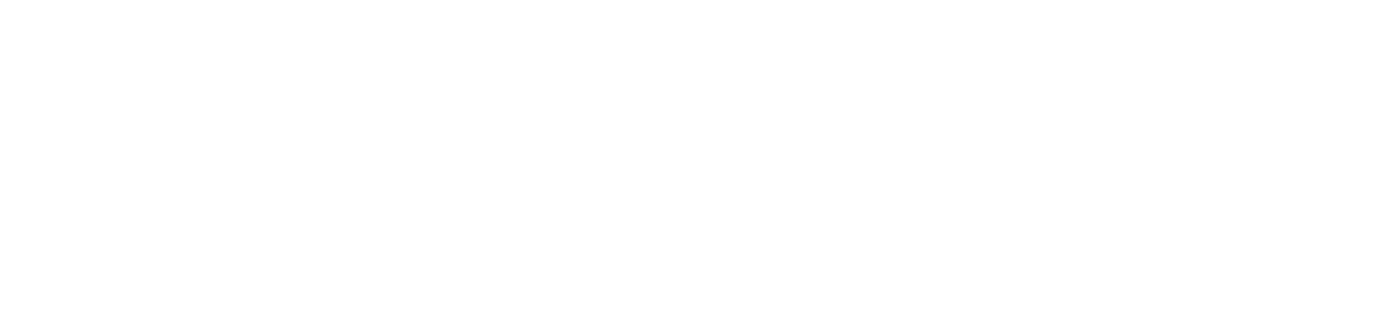 openvpn-logo-white